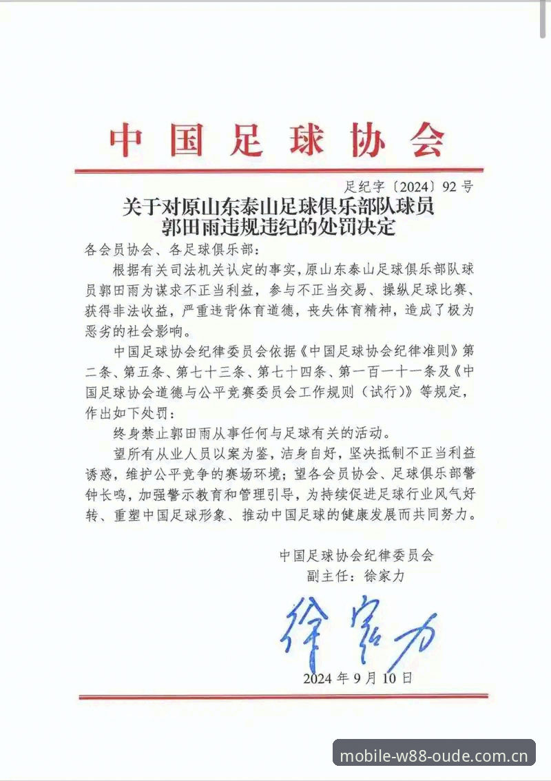 中国足协第三批禁足名单公布:17人终身禁赛,48人遭重罚的4大焦点